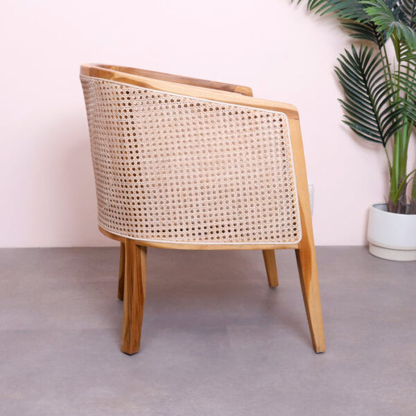 Rica Lounge Chair - Image 8