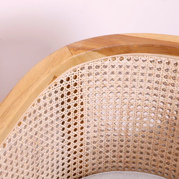 Rica Lounge Chair - Image 9
