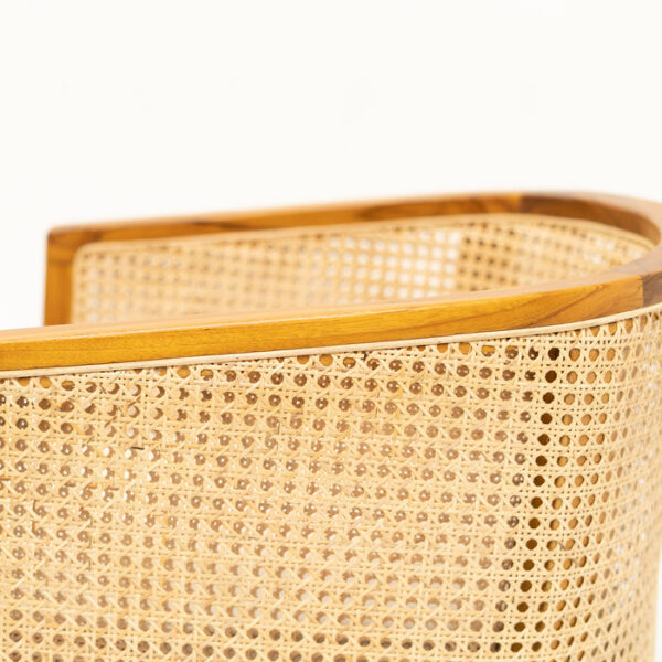 Rica Lounge Chair - Image 7
