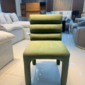 Modern Dinning Chairs